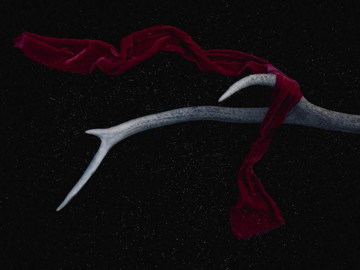 This is the alt text 